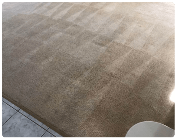 Professional Carpet Cleaners in Howrah